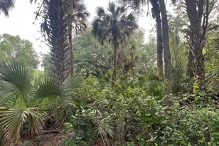 15148 NW 288th St, Okeechobee, FL 34972 - Photo 9