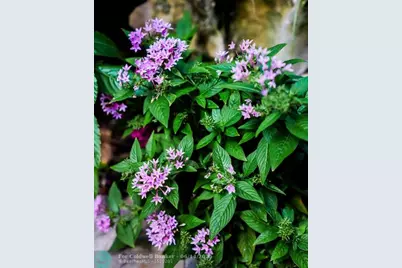 3301 SE 12th St, Pompano Beach, FL 33062 - Photo 35