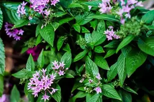 3301 SE 12th St, Pompano Beach, FL 33062 - Photo 35