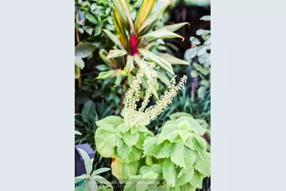 3301 SE 12th St, Pompano Beach, FL 33062 - Photo 29