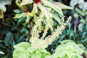 3301 SE 12th St, Pompano Beach, FL 33062 - Photo 29