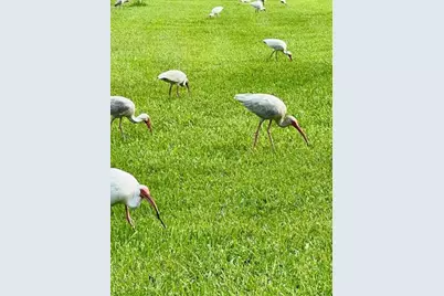 5270  Fountains Dr, Unit #102, Lake Worth, FL 33467 - Photo 29