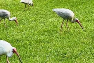 5270 Fountains Dr Unit, Lake Worth, FL 33467 - Photo 29