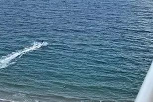 4020 Galt Ocean Dr, Fort Lauderdale, FL 33308 - Photo 9