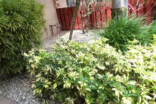 7320 Lake Cir Dr, Margate, FL 33063 - Photo 31