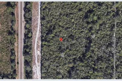 0  Riegel Paper, Orange City, FL 32763 - Photo 3