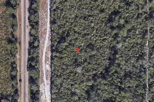 0 Riegel Paper, Orange City, FL 32763 - Photo 3