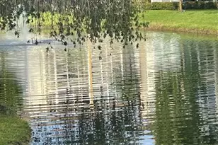 5161 W Oakland Park Blvd, Lauderdale Lakes, FL 33313 - Photo 1