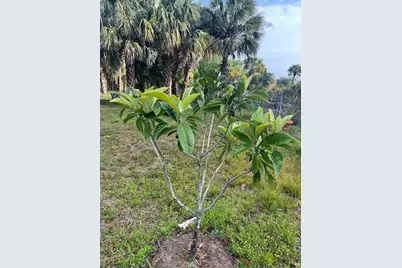 15148 NW 288th St, Okeechobee, FL 34972 - Photo 35