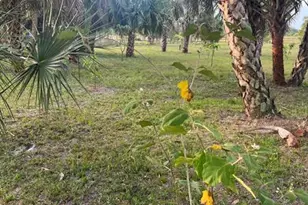 15148 NW 288th St, Okeechobee, FL 34972 - Photo 33