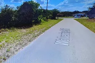 810 Wolverine St, Lehigh Acres, FL 33974 - Photo 3