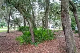 28963 Grandview Manor, Yulee, FL 32097 - Photo 5