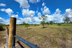 17019 NW 296th St, Okeechobee, FL 34972 - Photo 5