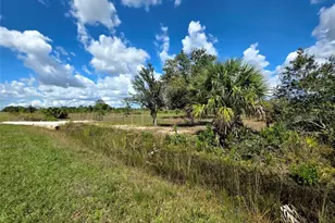17019 NW 296th St, Okeechobee, FL 34972 - Photo 3