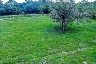 7049 NW 84th Ave, Parkland, FL 33067 - Photo 9