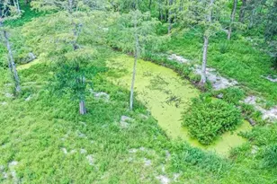 7049 NW 84th Ave, Parkland, FL 33067 - Photo 13