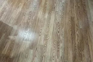 6260 NE 18th Ave, Fort Lauderdale, FL 33334 - Photo 7