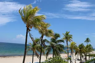 3500 Galt Ocean Dr, Fort Lauderdale, FL 33308 - Photo 33