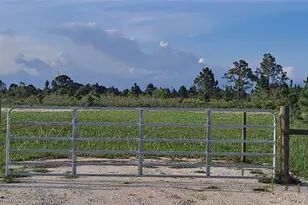 17927 NW 302nd St, Okeechobee, FL 34972 - Photo 11