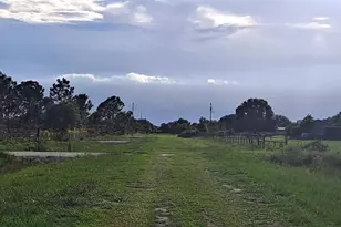 17927 NW 302nd St, Okeechobee, FL 34972 - Photo 13