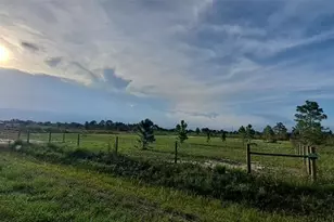 17927 NW 302nd St, Okeechobee, FL 34972 - Photo 3