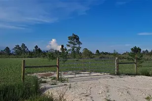 17927 NW 302nd St, Okeechobee, FL 34972 - Photo 9