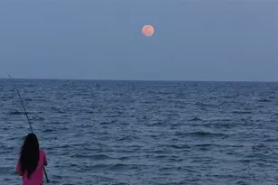 95 N Birch Rd, Fort Lauderdale, FL 33304 - Photo 17