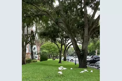 3750  Inverrary Dr, Unit #2Z, Lauderhill, FL 33319 - Photo 19