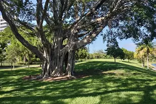 4200 Hillcrest Dr, Hollywood, FL 33021 - Photo 33