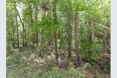 208 Street  139 Drive, O'Brien, FL 32071 - Photo 11