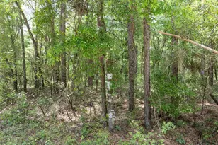 208 Street 139 Dr, O'Brien, FL 32071 - Photo 11