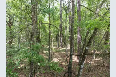 208 Street  139 Drive, O'Brien, FL 32071 - Photo 9