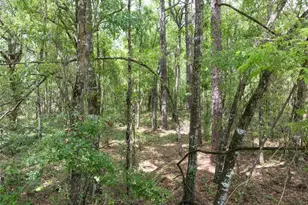 208 Street 139 Dr, O'Brien, FL 32071 - Photo 9