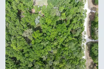 208 Street  139 Drive, O'Brien, FL 32071 - Photo 7