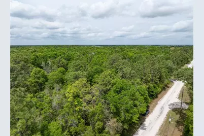 208 Street  139 Drive, O'Brien, FL 32071 - Photo 3