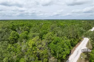 208 Street 139 Dr, O'Brien, FL 32071 - Photo 3