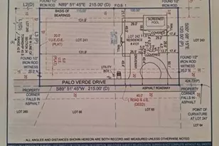 4131 Palo Verde Dr, Boynton Beach, FL 33436 - Photo 11