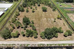 Xx Bedu Ct, Loxahatchee, FL 33470 - Photo 37