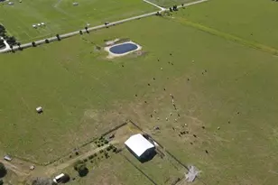 17350 NW 144th Ave, Okeechobee, FL 34972 - Photo 3