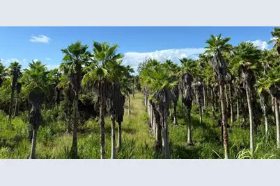 10246 SW 231st Ln, Unit #10246, Miami, FL 33190 - Photo 23