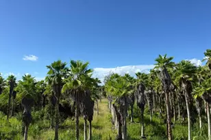 10246 SW 231st Ln, Miami, FL 33190 - Photo 23