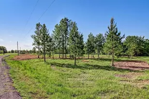 54452 Wildlife Way, Callahan, FL 32011 - Photo 3