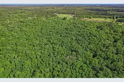 54452  Wildlife Way, Callahan, FL 32011 - Photo 5