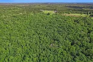 54452 Wildlife Way, Callahan, FL 32011 - Photo 5