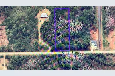 580  Sabal Street, Orlando, FL 32833 - Photo 3