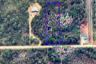 580 Sabal St, Orlando, FL 32833 - Photo 3