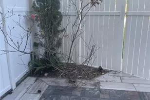 3007 NW 5th Terrace, Pompano Beach, FL 33064 - Photo 17