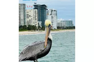 750 N Ocean Blvd, Pompano Beach, FL 33062 - Photo 79