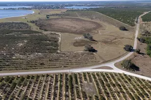 3073 Cr 627, Avon Park, FL 33825 - Photo 9