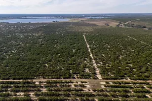 3073 Cr 627, Avon Park, FL 33825 - Photo 11